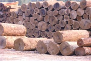 импортировать древесину
