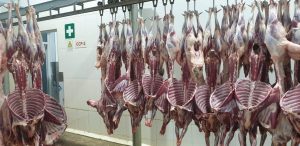 واردات انواع گوشت